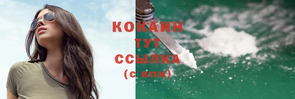 бошки Новозыбков