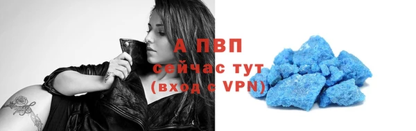 ГАЛЛЮЦИНОГЕННЫЕ ГРИБЫ Билибино