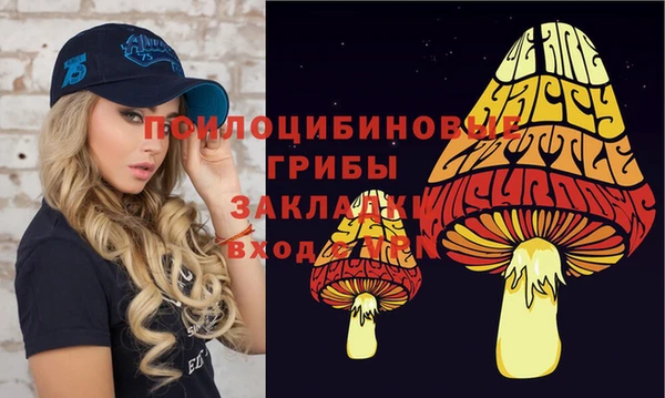 ГАЛЛЮЦИНОГЕННЫЕ ГРИБЫ Билибино