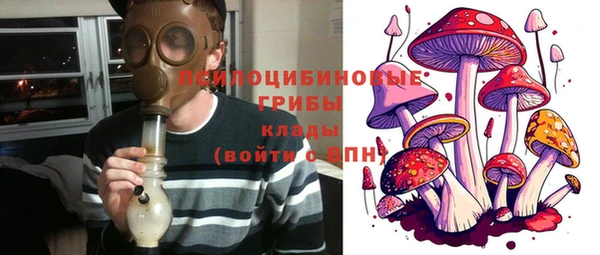 бошки Новозыбков